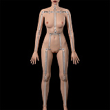 【カスタマイズ】WAXdoll ボディー単体 フルシリコン製ラブドール