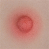 【高級版】Yearndoll ラブドール 最新作 Y202－1 &163cm E-cup サラリーマン お姉さま系 ソフトチーク付き リアル皮膚メイク付き 口開閉機能付き ダッチワイフ シリコン製 等身大セックス人形