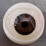 【高級版】新ボディー！Y801 &167cm Dカップ  成熟系  欧米美人 リアル皮膚メイク付き  ダッチワイフ シリコン製 等身大セックス人形 Yearndoll ラブドール 最新作 ラブドール