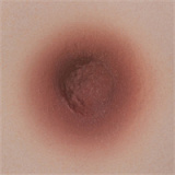 【高級版】新ボディー！Y226 &167cm Dカップ  成熟系  リアル皮膚メイク付き  ダッチワイフ シリコン製 等身大セックス人形 Yearndoll ラブドール 最新作