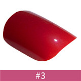 【縛られた美人】#135SC Xena.Aヘッド & 165cm C-cup フルシリコン製 欧米系 等身大リアルドール SEdoll