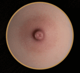 【Sino社長・ドール業界経験15周年記念キャンペーン 1.3まで 12%OFF+下取りサービス対応！】Top-Sino 爆撃機＆TYPEグラビア 実践向け 155cm Hカップ&162cm Gカップ&167cm E カップ選択可能   ラブドール 等身大ドール