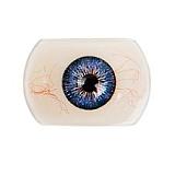 realgirl A工場 BY020ヘッド 158cm Dカップ 清純派  エロ人形 フルシリコンアダルト