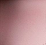 realgirl A工場  Lシリーズ L9ヘッド おっぱい Iカップドール 157cmエッチドール  宣材写真はフルシリコン