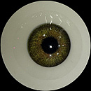 【かわいい子】A169ヘッド ＆ 110cm 平らボディ axbdoll tpe製ラブドール 宣材写真がリアルメイク付き