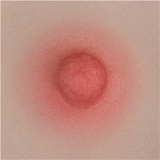 TC14Rヘッド ＆ 130cm バスト大 TPEdoll 宣材写真がリアルメイク付き axbdoll