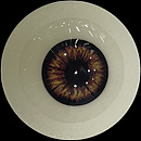 TC14Rヘッド ＆ 130cm バスト大 TPEdoll 宣材写真がリアルメイク付き axbdoll