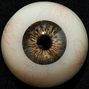 TC14Rヘッド ＆ 130cm バスト大 TPEdoll 宣材写真がリアルメイク付き axbdoll