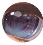 Sinodoll  戦闘機シリーズ 実践向け ヘッド＆ボディご自由に組み合わせ可 ラブドール 等身大ドール