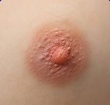 MMXDOLL 93cm AAカップ #黛莉(daili)ヘッド シームレスドール 超擬真肌テクスチャー シリコン製ミニドール 9kg（ヘッド込み）フィギュア