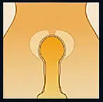 #56ヘッド ＆ 135cm G-cup TPE製ラブドール Aotume