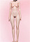 158cm C+カップ