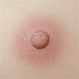 Artdoll 安室奈美ヘッド & 150cm Cカップ リアルドール 清純 可愛い2.5次元風 軽量19Kgだけ 等身大ドール