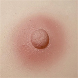 【小柄ロリ】M2ヘッド & 148cm Dカップ  可愛い フルシリコン製ラブドール M16ジョイント汎用版