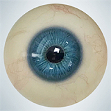 RZR Doll 最新作 若璃（Ruoli）ヘッド No.22 165cm Eカップ 知的で妖艶なセックスドール フルシリコン製 等身大リアルドール 膣前庭構造&乳腺構造あり