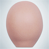 RZR Doll 若璃（Ruoli）ヘッド No.22 165cm Eカップ 熟女リアルドール フルシリコン製sexdoll 膣前庭構造&乳腺構造あり