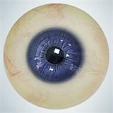 RZR Doll 若璃（Ruoli）ヘッド No.22 165cm Eカップ 熟女リアルドール フルシリコン製sexdoll 膣前庭構造&乳腺構造あり