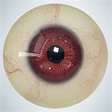 RZR Doll 若璃（Ruoli）ヘッド No.22 165cm Eカップ 曲線美ダッチワイフ フルシリコン製 セックス ドール 膣前庭構造&乳腺構造あり