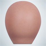 RZR Doll 若璃（Ruoli）ヘッド No.22 165cm Eカップ 熟女リアルドール フルシリコン製sexdoll 膣前庭構造&乳腺構造あり