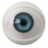 Fanreal doll Henryヘッド＆173cm 35kg 一体式ペニス 筋肉タイプ リアルメイク付き フルシリコン男性ラブドール