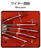 人偶箱庭 AMIYAヘッド 126cmアニメドール 19kgダッチワイフ 宣材写真はシリコン材質ヘッド＋TPE製ボディ ボディ素材＆ヘッドタイプはカスタマイズ可能 二次元ラブドール