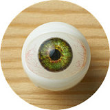 【幼馴染·女の子】初香hatsukaヘッド&148cm Bカップ  楽天地 低身長 ロり系 シリコンヘッド＋TPEボディー ヘッド選択可能  Myloliwaifu