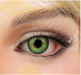 irontechdoll シームレスドール S13ヘッド 164cm Eカップ ブラック肌色の欧米ダッチワイフ ボンキュッボン 眉毛と睫毛植毛加工あり シリコン製アダルトドール