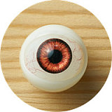 Jiusheng Doll #21 Bettyヘッド 清純系JKドール 148cm・Bカップ・黒髪・赤いリボン制服ラブドール  掲載画像はフルシリコンラブドール