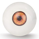 Realgirl【C工場】DS17ヘッド 169cm Eカップ 妖艶な魅力が際立つラブドール フルシリコンドール セクシーなリアル ドール