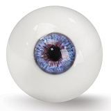 Realgirl【C工場】DS17ヘッド 169cm Eカップ 妖艶な魅力が際立つラブドール フルシリコンドール セクシーなリアル ドール