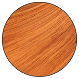 Realgirl【C工場】DS17ヘッド 169cm Eカップ 妖艶な魅力が際立つラブドール フルシリコンドール セクシーなリアル ドール