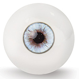 【Ｃ工場製】アーチスト S-tpeボディー素材選択可！#31-2ヘッド&159cm Eカップ  セックス 宣材写真はフルシリコン製 ヘッド及びボディー材質選択可能 カスタマイズ可能 Real Girl