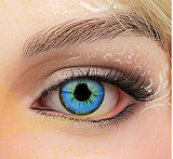 irontechdoll シームレスドール S13ヘッド 164cm Eカップ ブラック肌色のセクシーラブドール 眉毛と睫毛植毛加工あり シリコン製アダルトドール