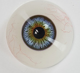 MMXDOLL 新作！！ 夢依（Mengyi）ヘッド ROS機能付き 165cm等身大 Fカップ 自由な魂を持つウエスタン美女人形  宣材写真は職人Art系メイク  フルシリコン製ダッチワイフ