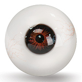 Realgirl【C工場】 #17ヘッド & 171cm Eカップ スポーツガール 軽量ドール フルシリコンドール ボディ選択可 軟質シリコン材質頭部 等身大ラブドール  realgirl