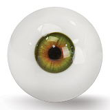 Realgirl【C工場】#21ヘッド & 169cm Eカップ フルシリコンドール ボディ選択可 軟質シリコン材質頭部 等身大ラブドール