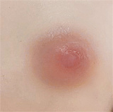 J cute 羽純（はずみ） ヘッド 133cm貧乳 小柄で華奢な体型 LL団 可愛いラブドール 高級フルシリコンドール