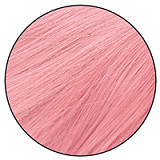 Realgirl【C工場】DS26-2ヘッド 169cm Eカップ 宣材写真のはシリコンヘッド＋TPEボディー ラブドール