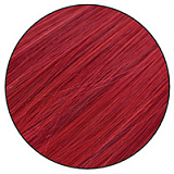 Realgirl【C工場】DS26-2ヘッド 169cm Eカップ 宣材写真のはシリコンヘッド＋TPEボディー ラブドール