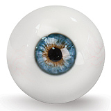 Realgirl【C工場】DS26-2ヘッド 169cm Eカップ 宣材写真のはシリコンヘッド＋TPEボディー ラブドール