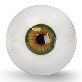 Realgirl【C工場】DS19ヘッド 169cm Eカップ 宣材写真のはフルシリコン製 短髪等身大ダッチワイフ