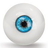 Realgirl【C工場】DS26-2ヘッド 169cm Eカップ 宣材写真のはシリコンヘッド＋TPEボディー ラブドール