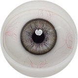 Fanreal doll Kimmyヘッド 155cm Fカップ リアル ドール 黒髪の乙女 新作！リアル皮膚付き！ ROS開閉機能対応可 セクシー系ドール