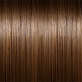 S42ヘッド ＆ 170cm Cカップ シリコンラブドール Real lady