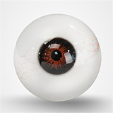 TOP-CYDOLL 22.2kgのみ新ボディー！Polly-Sヘッド 150cm Cカップ ミニギャル風の甘系ドール 宣材写真のはフルシリコン製のリアル高級ダッチワイフ