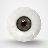 TOP-CYDOLL 22.2kgのみ新ボディー！Polly-Sヘッド 150cm Cカップ ミニギャル風の甘系ドール 宣材写真のはフルシリコン製のリアル高級ダッチワイフ