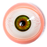 Starperydoll Haoヘッド 165cm Gカップ 熟女ラブドール 知的で色気のある ROS機能対応可 宣材写真はフルシリコン製