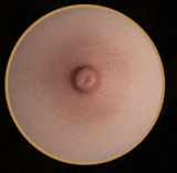 Top-Sino【TYPEグラビア】実践向け T37 米夢(Mimeng) ヘッド&162cm Gカップ テニス部 宣材写真はRRS＋メイク 超擬真の肌テクスチャ&生身の人間仕上げ着色選択可  等身大高級ラブドール