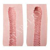 Starperydoll Haoヘッド 165cm Gカップ 熟女ラブドール 知的で色気のある ROS機能対応可 宣材写真はフルシリコン製