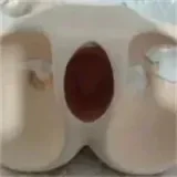 GUAVADOLL 160cm Cカップボディ単体  PVC製 球体関節 ボディのみラブドール